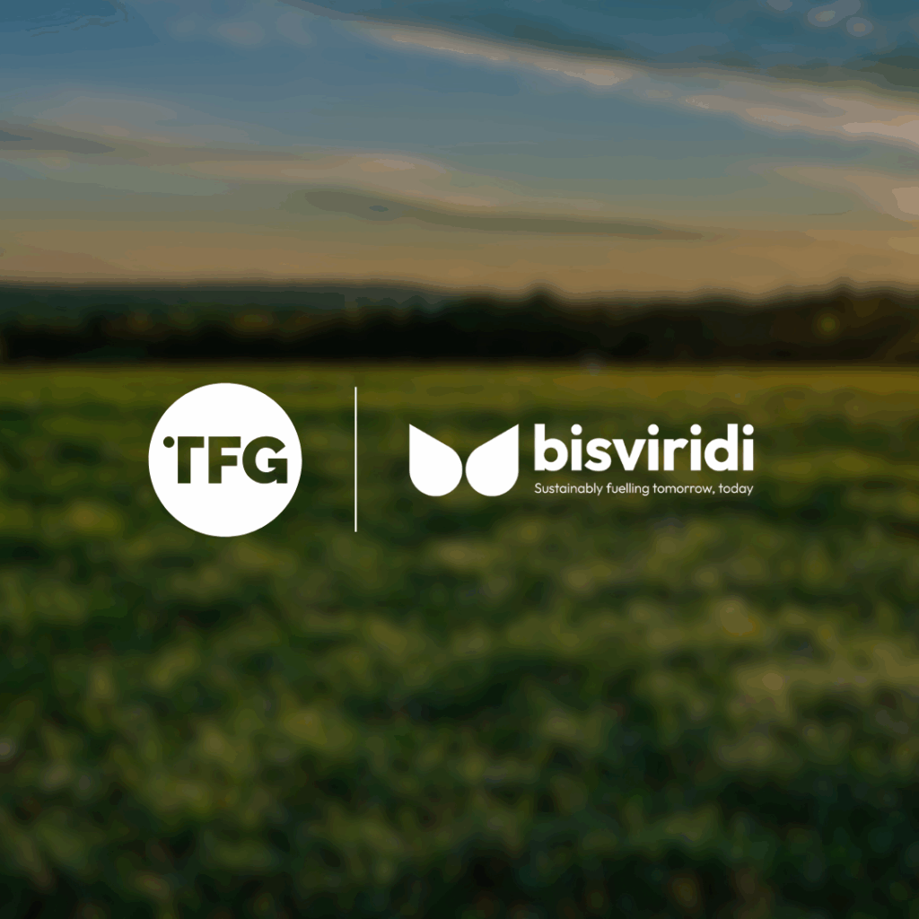 bisviridi x TFG