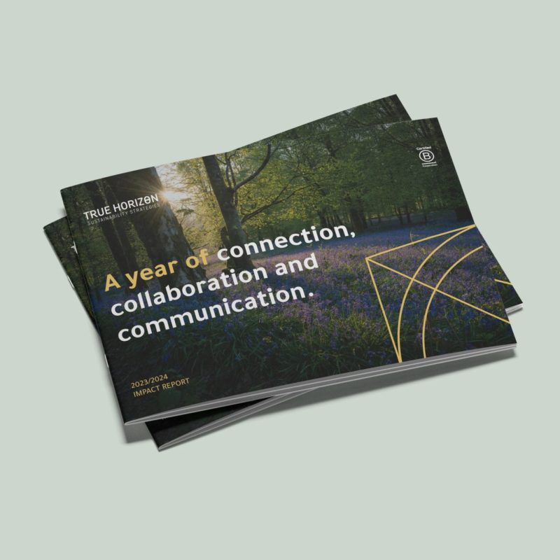 True Horizon brochure mockup